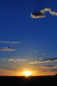 Outback-sunset-cobalt-sky