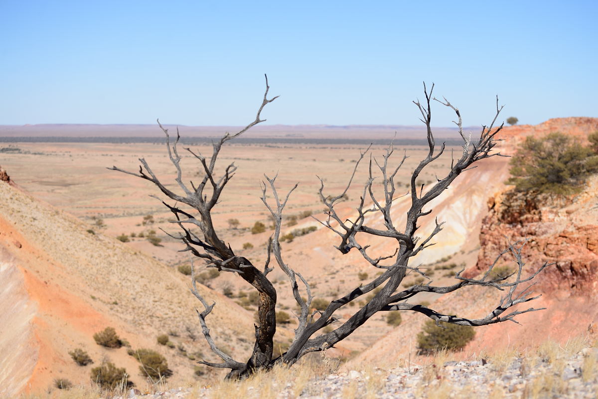 Painted Desert (1)