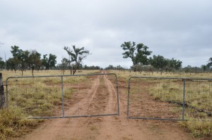 The track to the hut