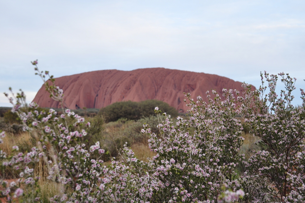 Photogallery – Uluru