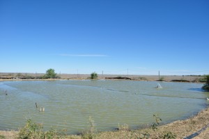 Cray farm in the outback