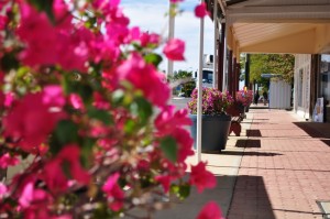 Bougainvillea on Julia Creek's main street