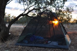 Sunrise through the tent