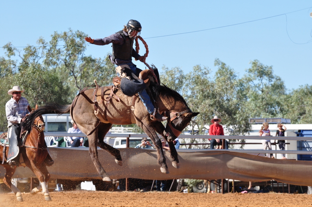The Saxby Roundup and rodeo