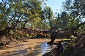 Sitting under the shade of a coolibah tree