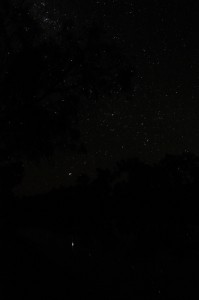 A million stars, the brightest of them reflecting in the water of the Thomson River