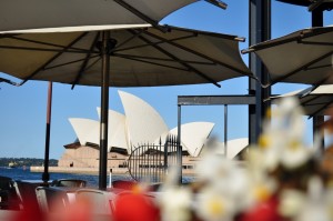 The Opera House from Circular Quay