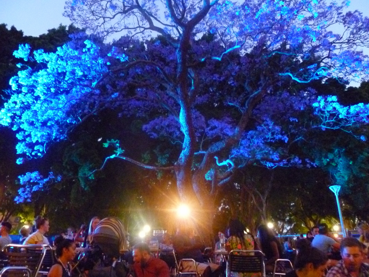 It’s festival time in Sydney – but don’t ask for a glass of wine