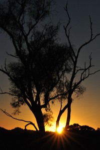 Sunset at the farm