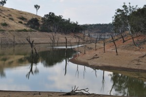 My swimming spot