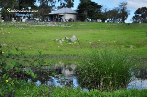 House-reflection