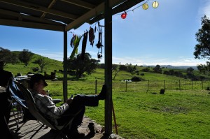 Relaxing at the farm