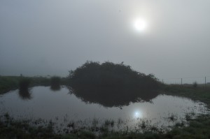 Sun through the fog