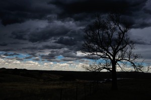 Storm coming. All noise and wind - no real rain