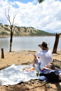 Picnic lunch (with wine)