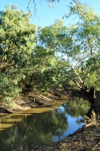 First Camp Macquarie River