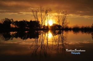 Golden-sunset-Menindee-Lake