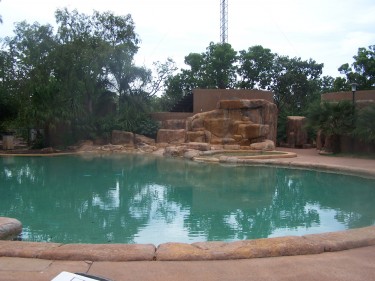 The pool at Cooinda