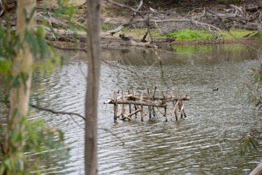 The same wooden structures as in the previous photo, only this time in the water, acting as a bird perch