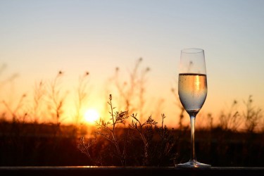 Champagne on the Ghan Parachilna_02