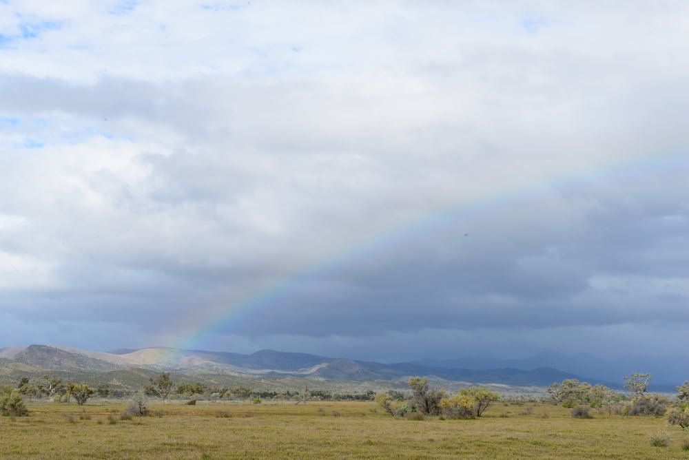 Rainbow over the Flinders