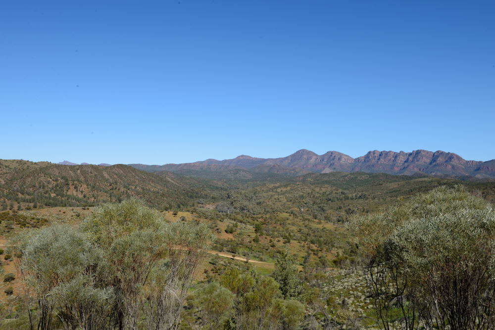 Walking through the Flinders Ranges