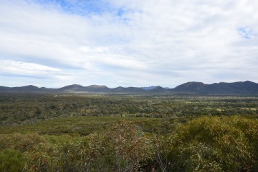 The view into Wilpena Pound. A good place for 120,000 sheep?