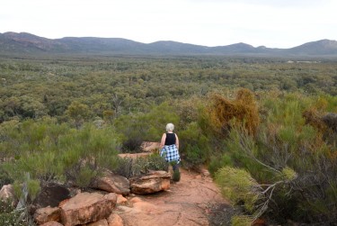 Wilpena Flinders_07