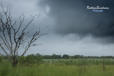 Storm coming Knuckey Lagoon