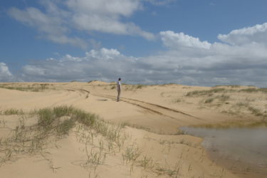 Tracks behind dunes