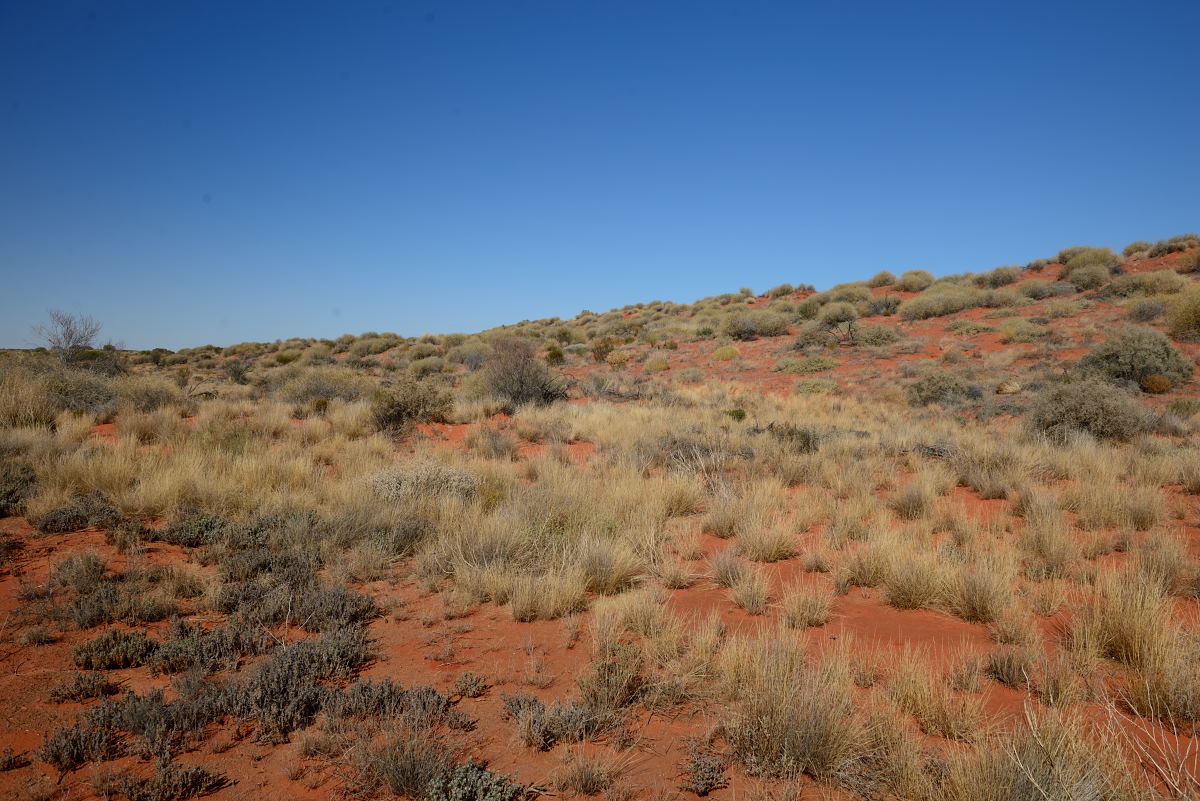 Simpson Desert, part 5
