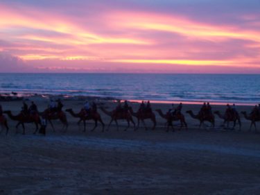 Sunset camel ride on Cable Beach, Broome