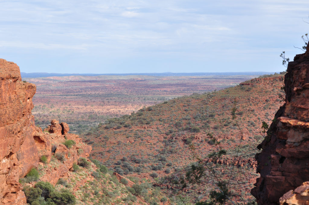 The view goes on forever at Watarrka - Kings Canyon