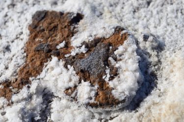 Salt crystals clinging to a rock Kati Thanda