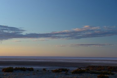 Sunrise pink over the salt lake Kati Thanda