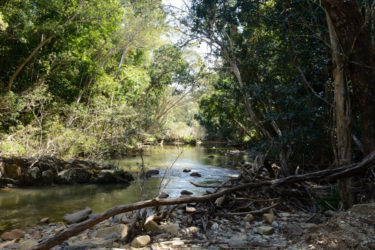 Stream crossing on the Creb Track