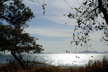 Sun glinting on the water at Bathurst Bay