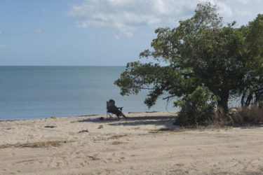 Relaxing in the shade of a tree on the beach