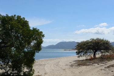 In among the trees on a remote tropical beach