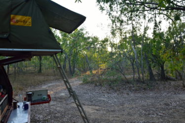 Coffee brewing on the camp stove in the early morning light through the gum trees