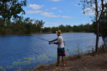 Doc fishing in a lily fringed lagoon