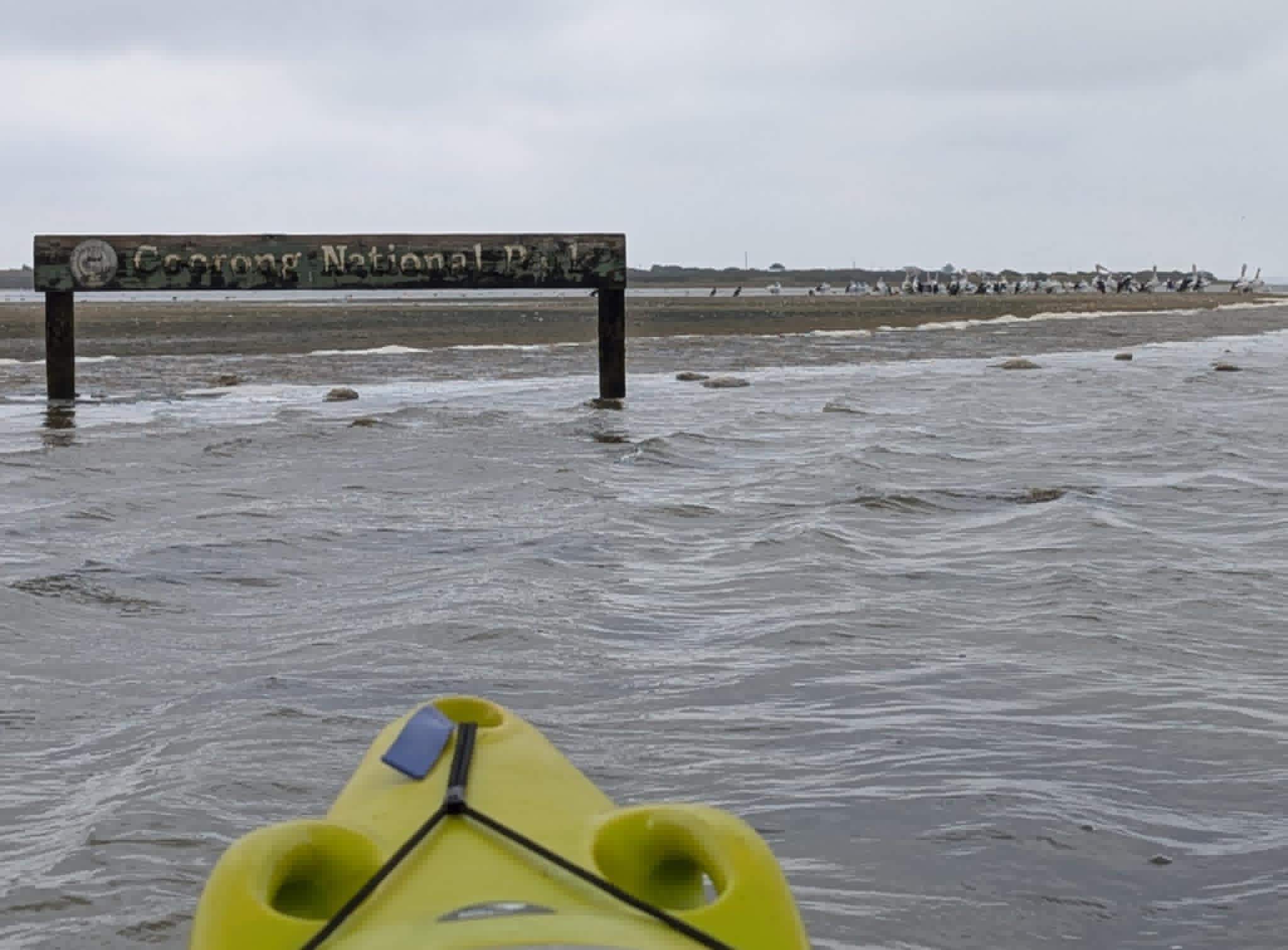 Hindmarsh Island – Kayaking the Coorong