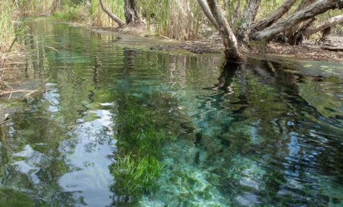 Mataranka, Bitter Springs & Katherine thermal pools – Which is best?
