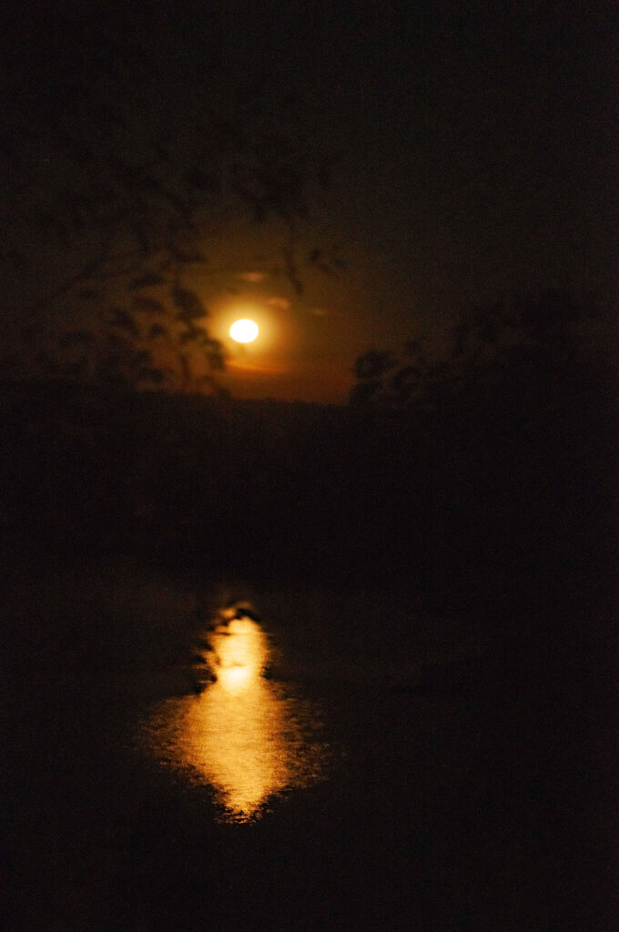 Stairway to the Moon on the Durack River, Oombi Track