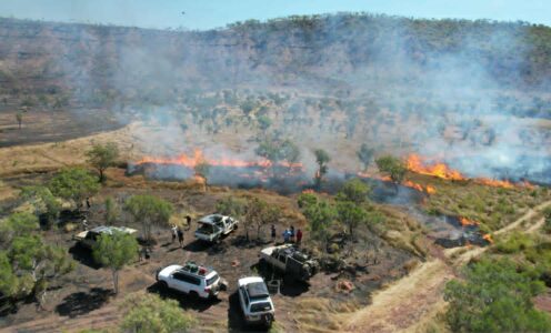 Burning season on the Oombi Track