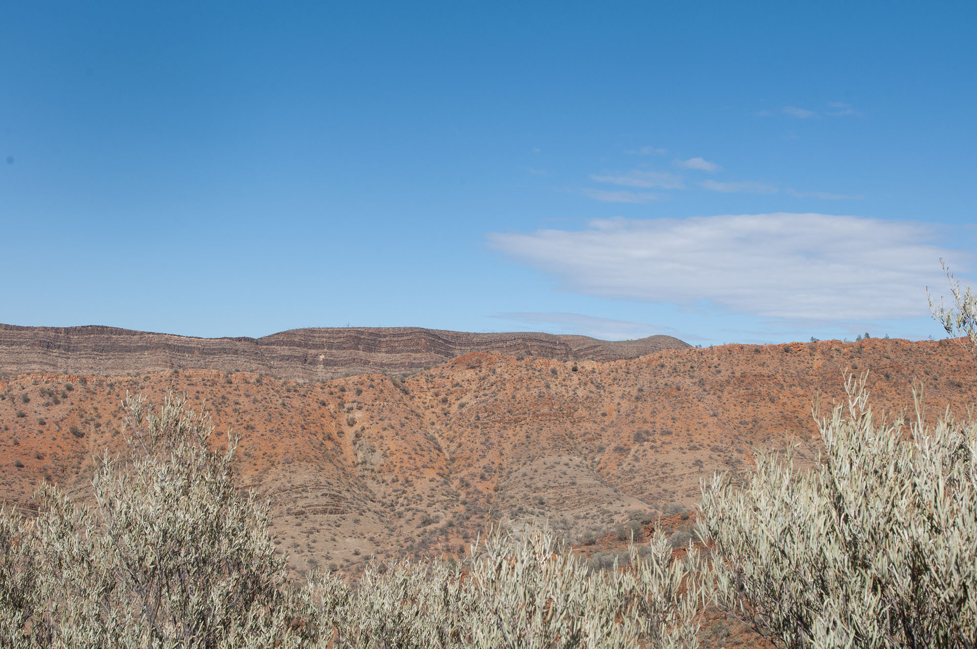 TOP THINGS TO SEE AND DO IN THE FLINDERS RANGES