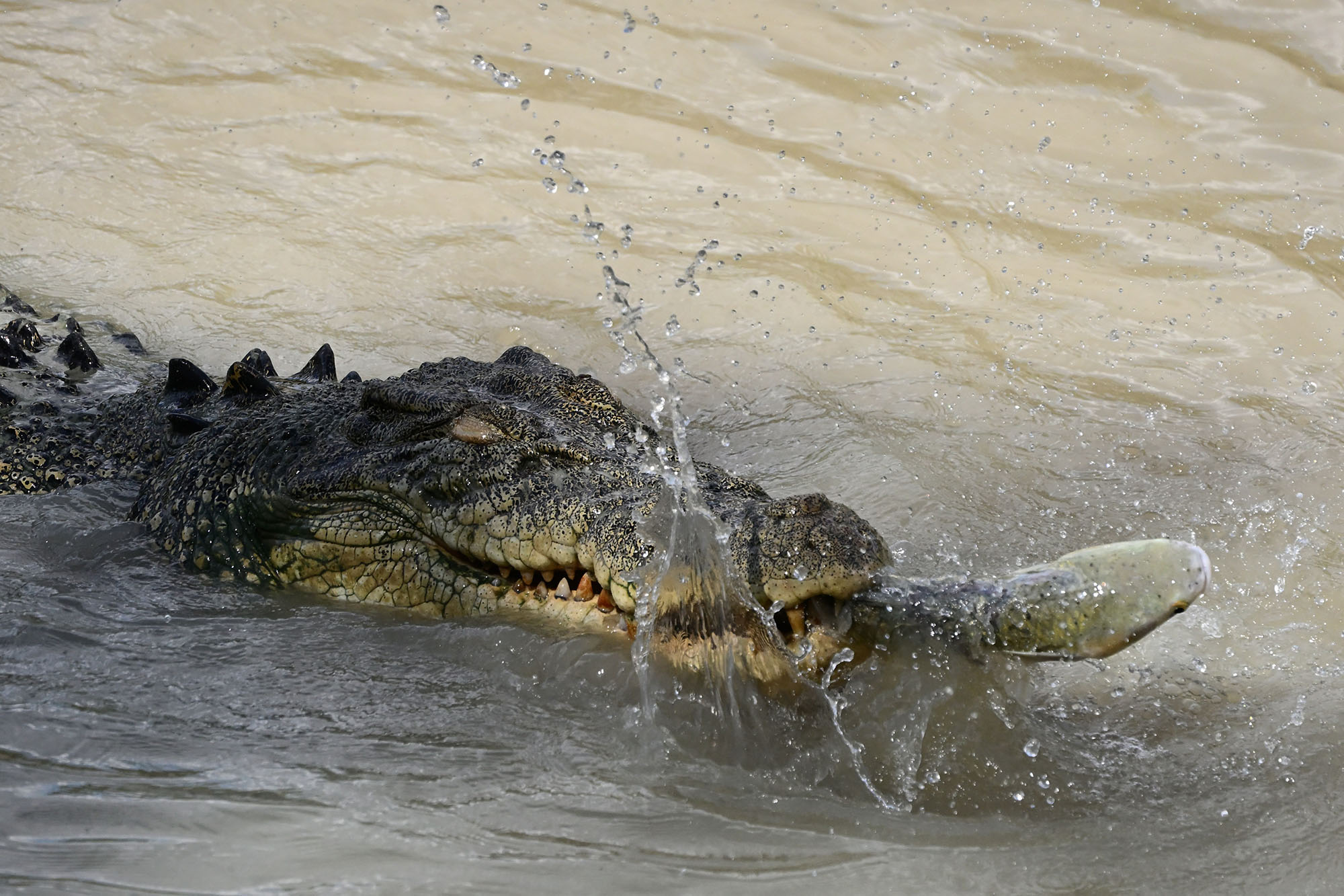 What is Kakadu like?