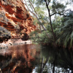 Hidden pools at Watarrka - Kings Canyon