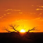 Sunset at White Cliffs